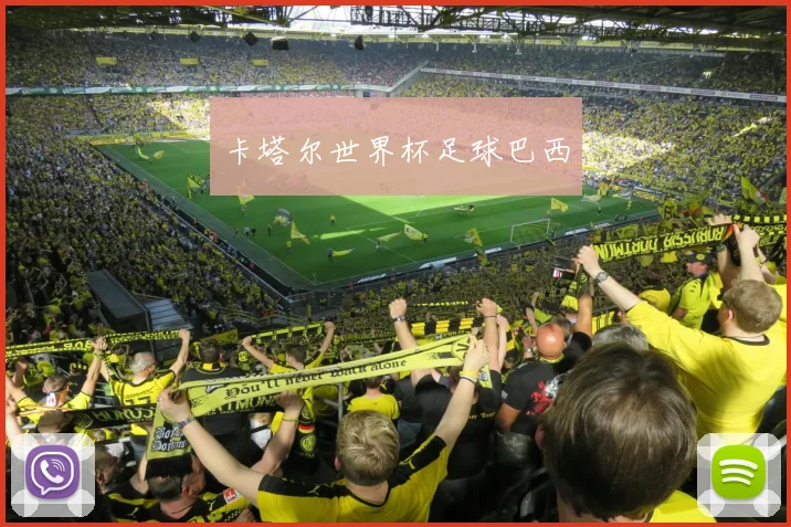 卡塔尔世界杯足球巴西