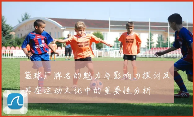 篮球厂牌名的魅力与影响力探讨及其在运动文化中的重要性分析