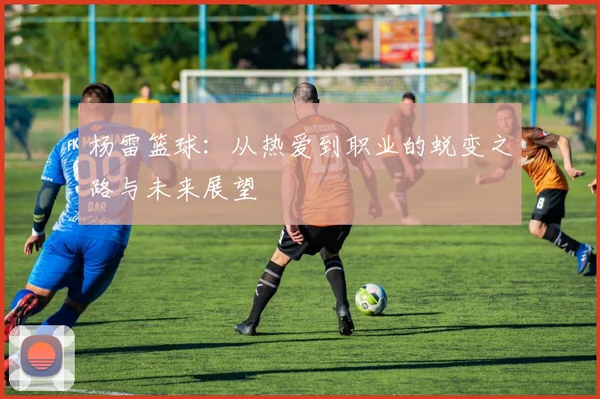 杨雷篮球：从热爱到职业的蜕变之路与未来展望