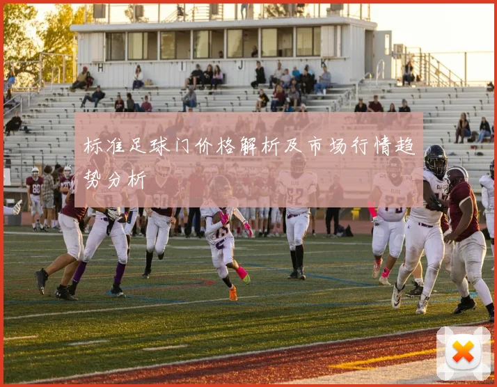标准足球门价格解析及市场行情趋势分析