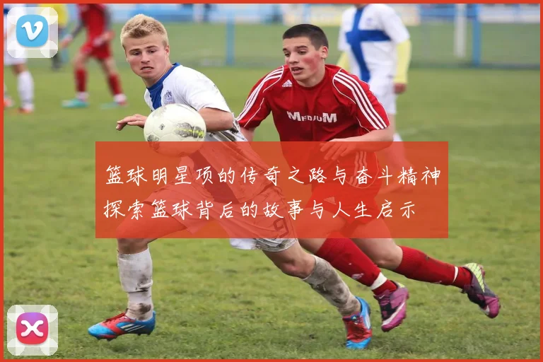 篮球明星项的传奇之路与奋斗精神探索篮球背后的故事与人生启示