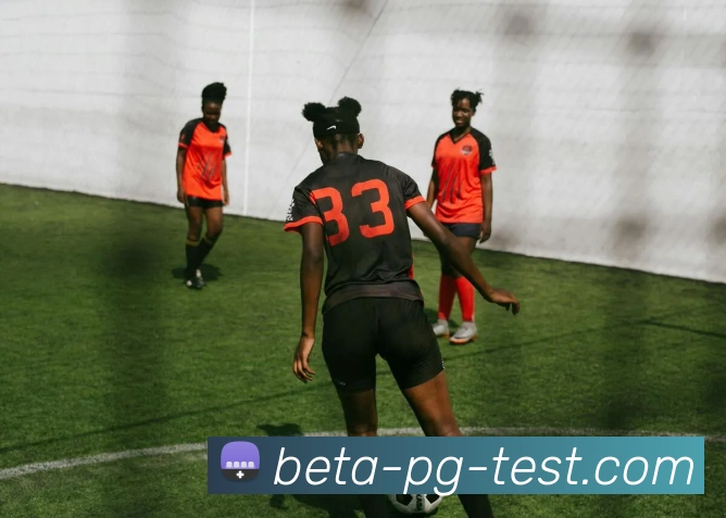 卡塔尔世界杯足球巴西